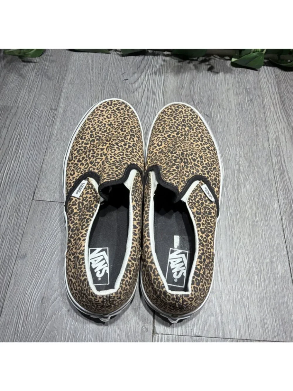 Vans please check